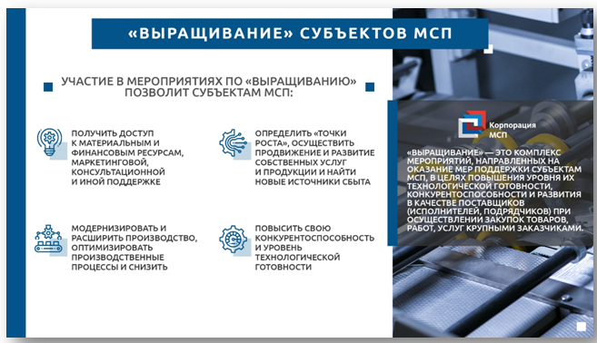 Фонд поддержки предпринимательства Пензенской области организует отбор субъектов предпринимательства для последующего «выращивания»