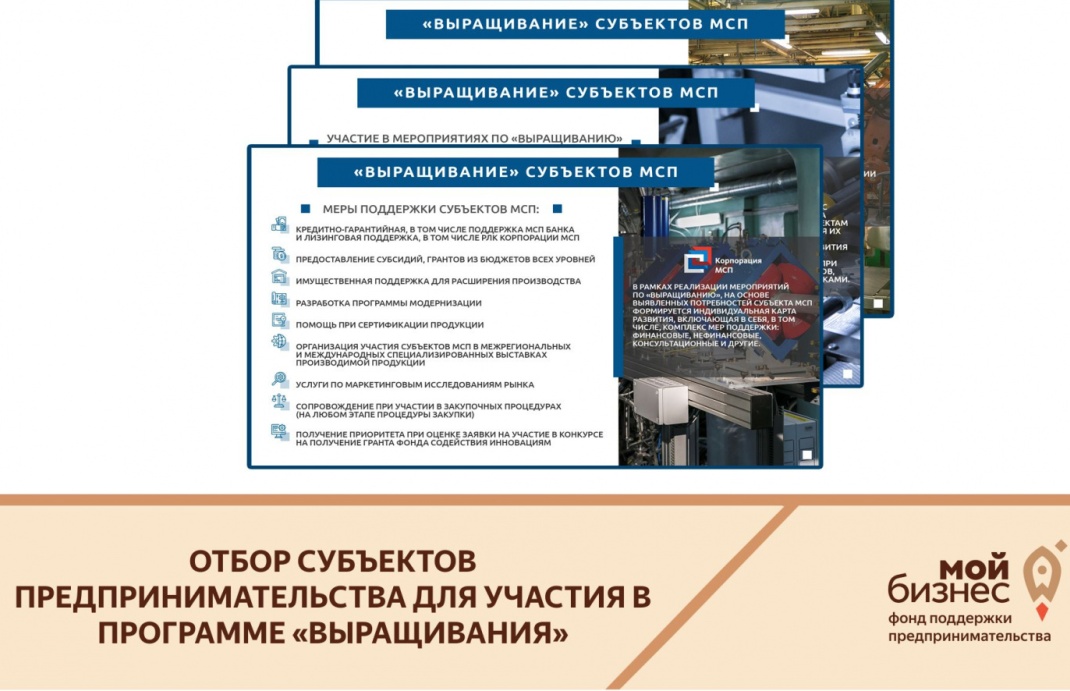 Продлевается прием заявок на «Выращивание» субъектов МСП