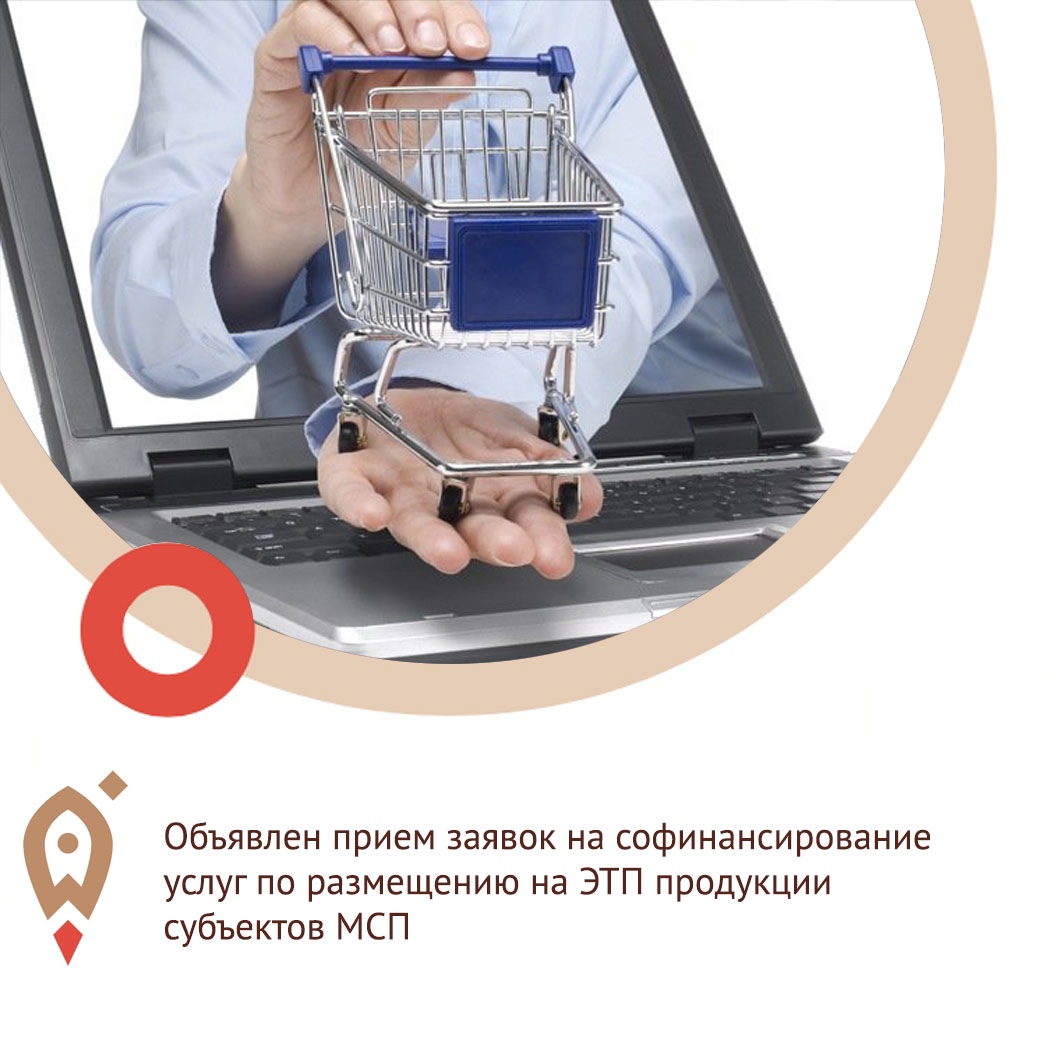 Объявлен прием заявок на софинансирование услуг по размещению на ЭТП продукции субъектов МСП