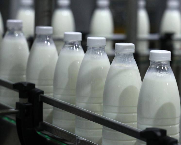 Начало работы в личном кабинете системы маркировки молочной продукции