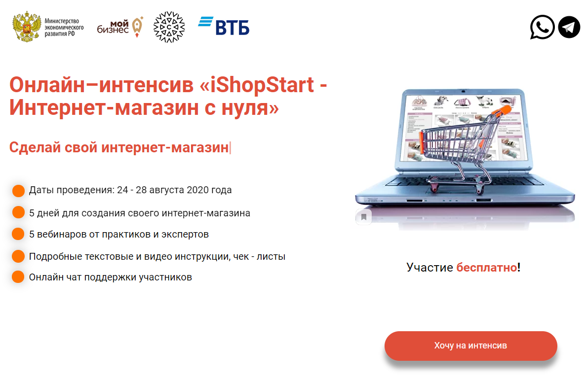 Выбор поставщика, создание каталога товаров