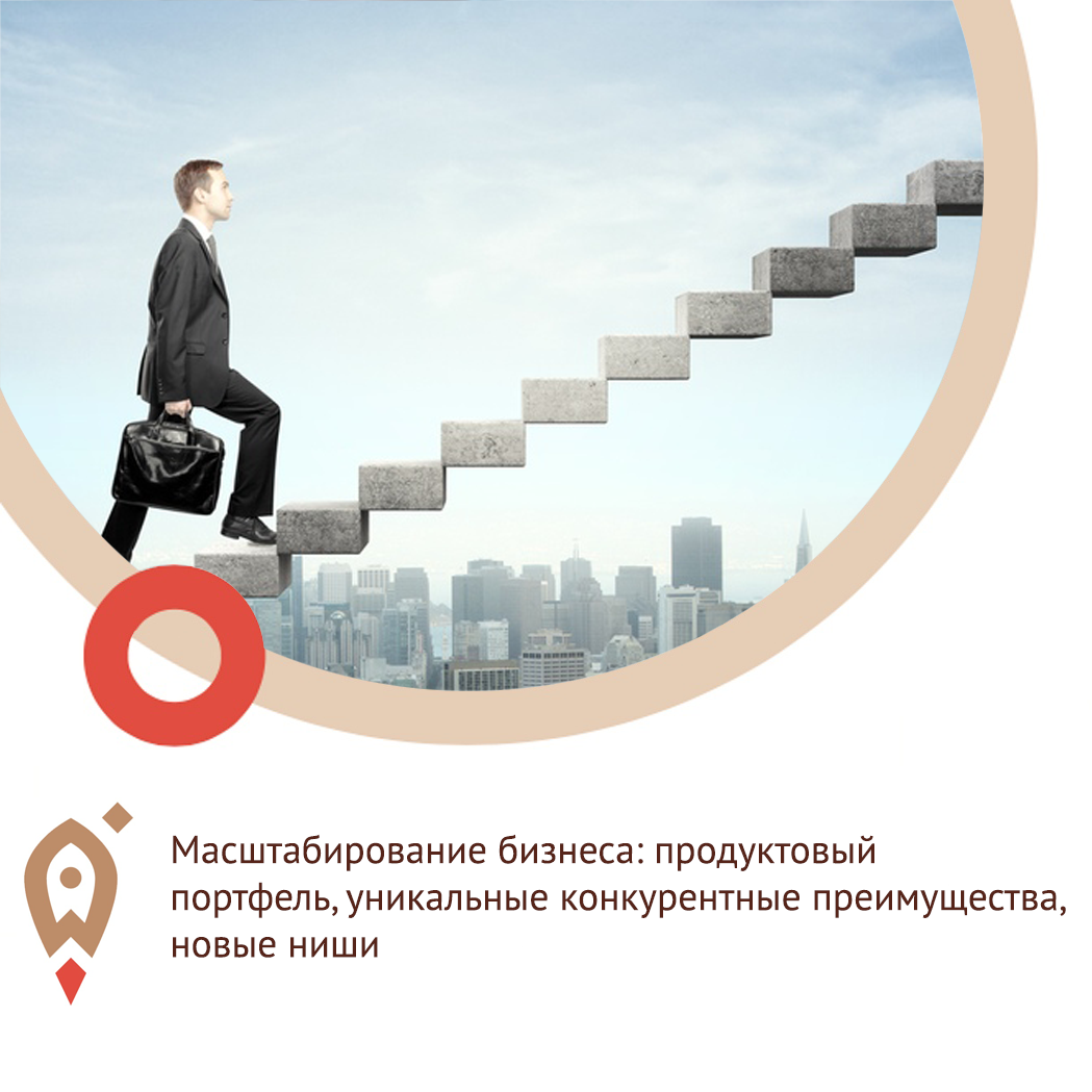 Масштабирование бизнеса: продуктовый портфель, уникальные конкурентные преимущества, новые ниши