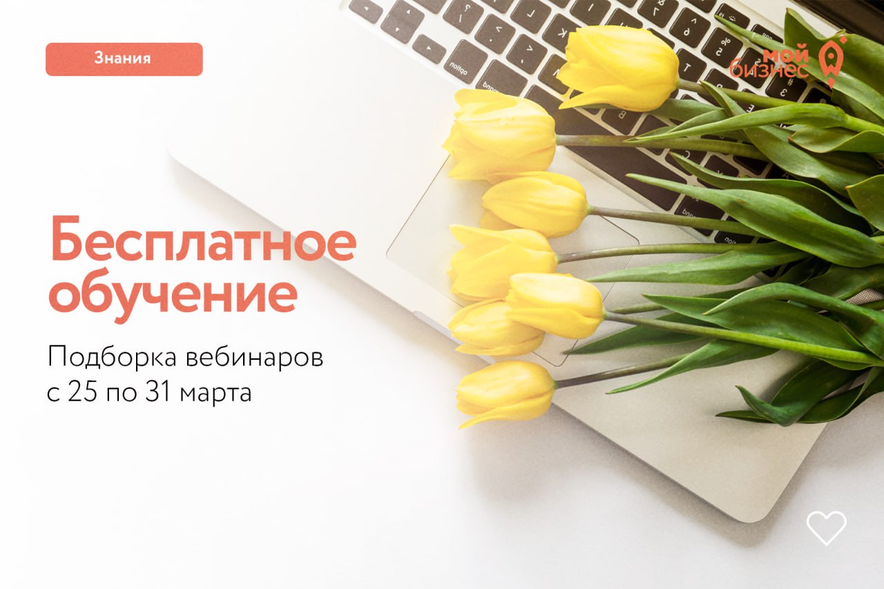 Порядок исчисления имущественных налогов физическим лицам. Льготы по имущественным налогам физических лиц