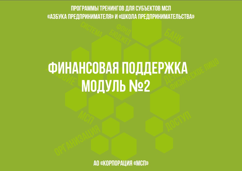 Финансовая поддержка