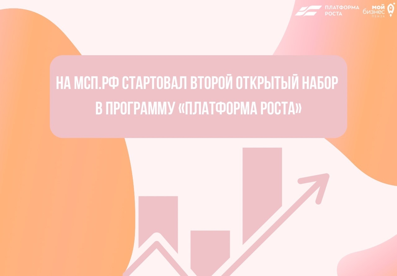 Открыт второй набор в программу «Платформа роста» на МСП.РФ